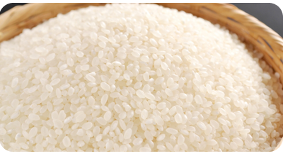 お弁当･給食の株式会社大井川の配達エリアは、静岡県、焼津市･藤枝市･島田市･牧之原市･菊川市･掛川市･御前崎市･吉田町です。